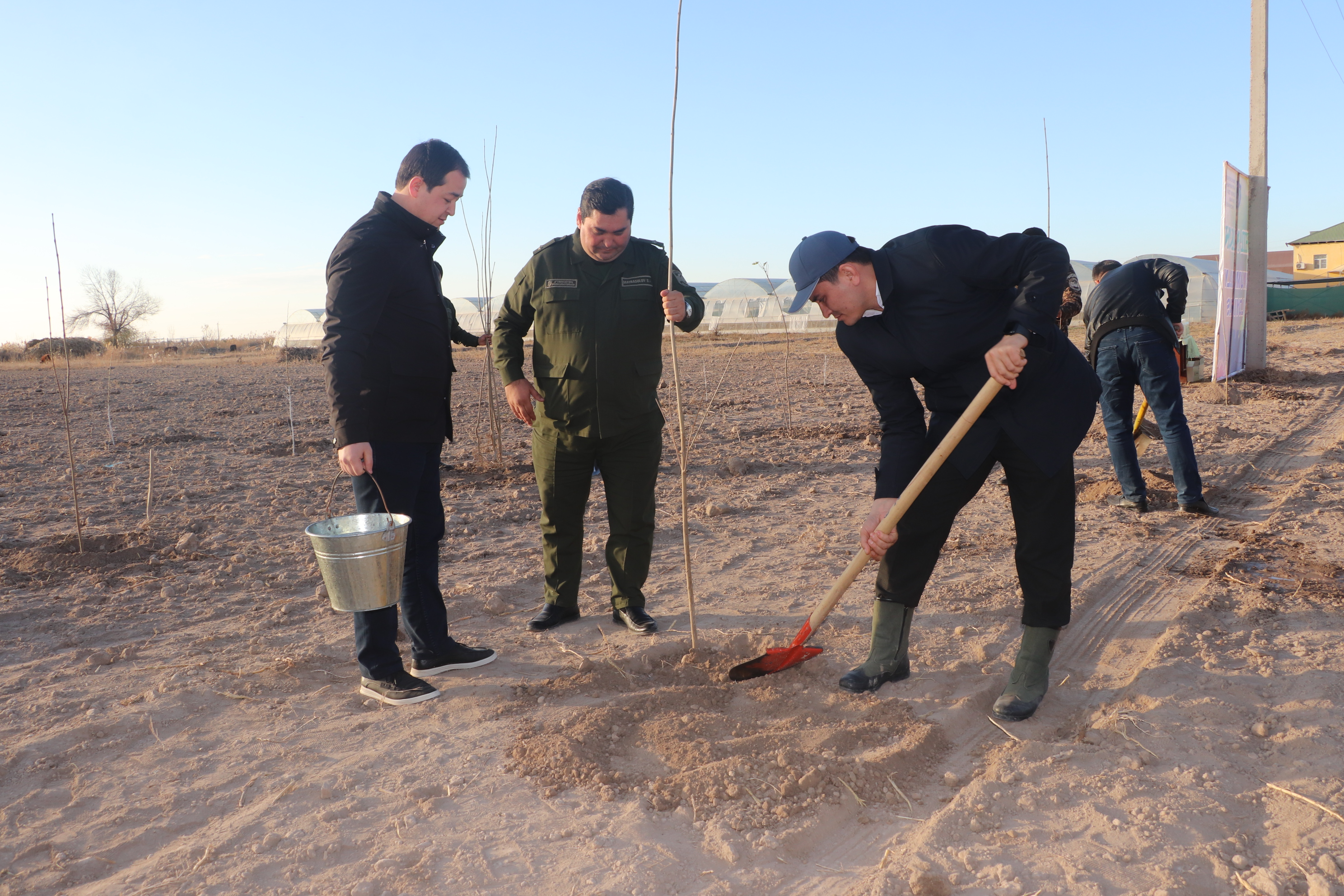 KO‘KALAMZORLASHTIRISH TADBIRLARI DAVOM ETMOQDA